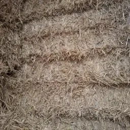 Koop roggestro in vierkante balen