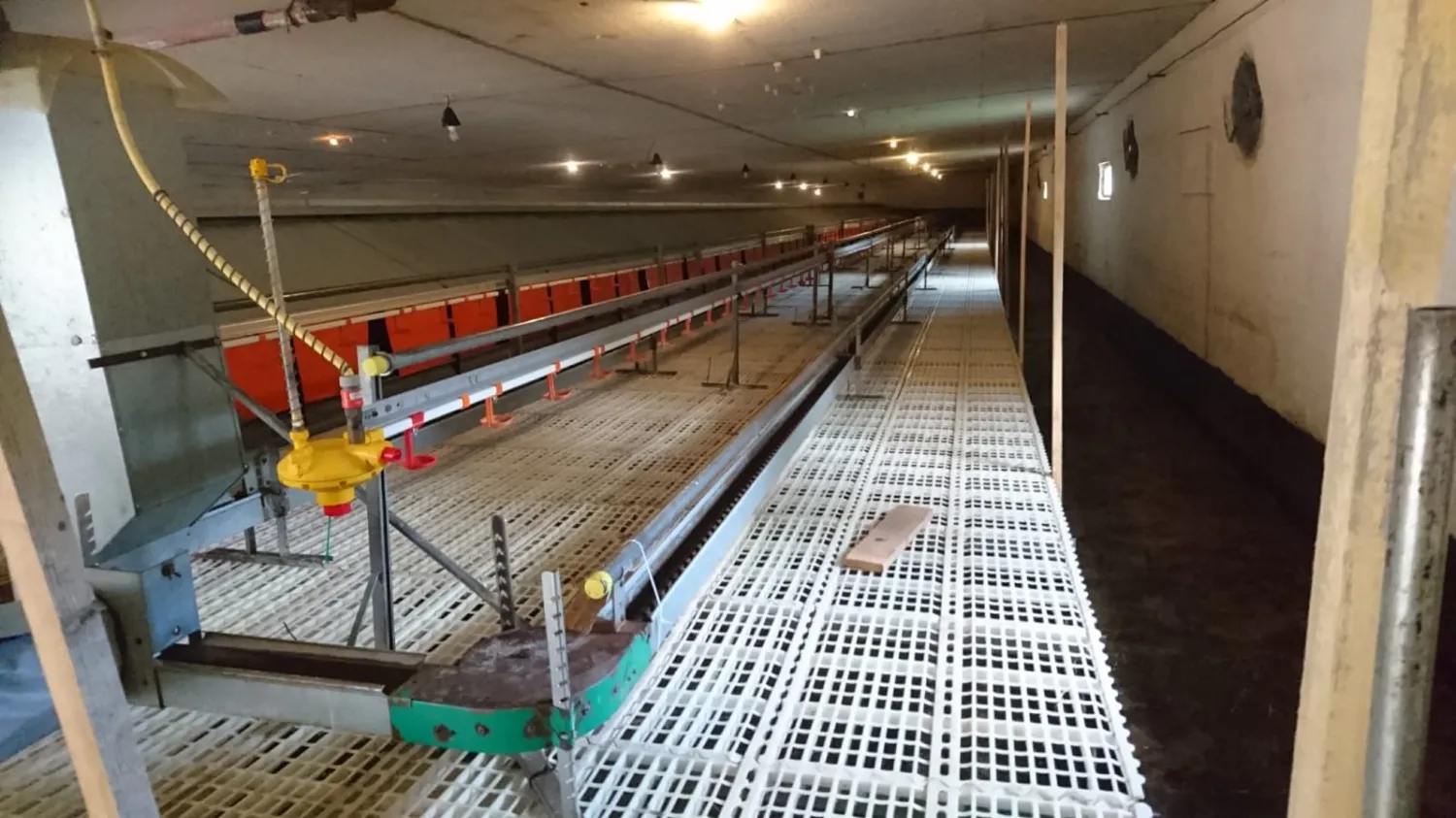 Leghennen Stalleinrichtungen: Kotgrubben System voor 3500 kippen