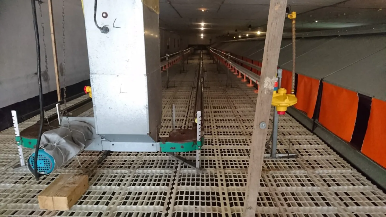 Leghennen Stalleinrichtungen: Kotgrubben System voor 3500 kippen