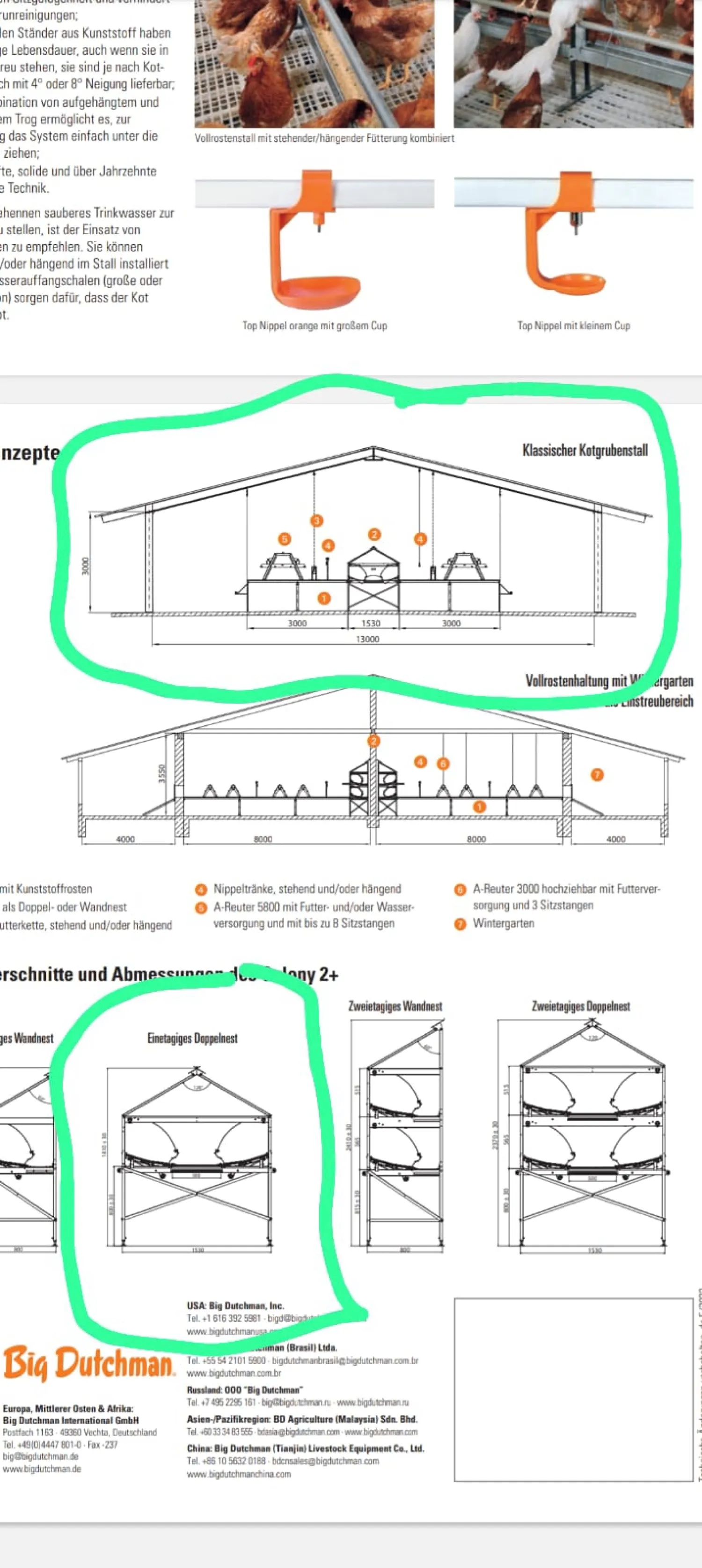 Leghennen Stalleinrichtungen: Kotgrubben System voor 3500 kippen