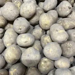 Bintje A Potatoes Available - Various Sizes