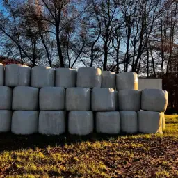 Kuilbalen - Premium kwaliteit, oogstjaar 2025