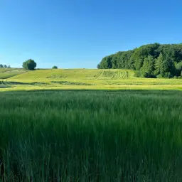 Futtergerste für Ernte 2026 gesucht