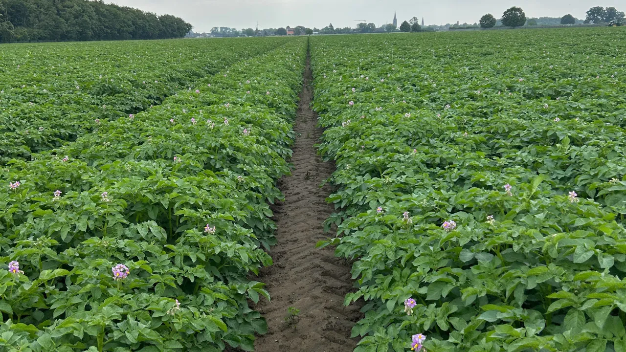 Bio Kusenhof