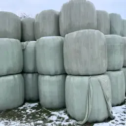 Hooi, voordroogkuil & stro te koop - Top kwaliteit