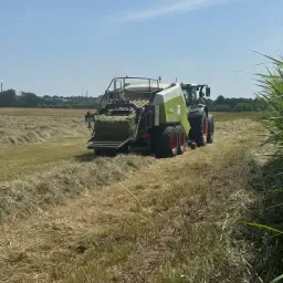 Hooibalen - Hoge kwaliteit, 2e snede, overdekt opgeslagen