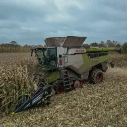 Korrelmaïsmeel: Tot 2.000t per jaar beschikbaar
