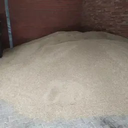 Voederrogge te koop: 20 ton beschikbaar