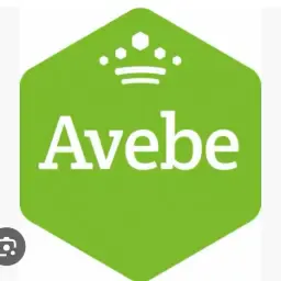 Avebe Aandelen: 5 stuks te koop