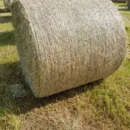 Heulage Topkwaliteit van Oogst 25 - €35 incl. BTW