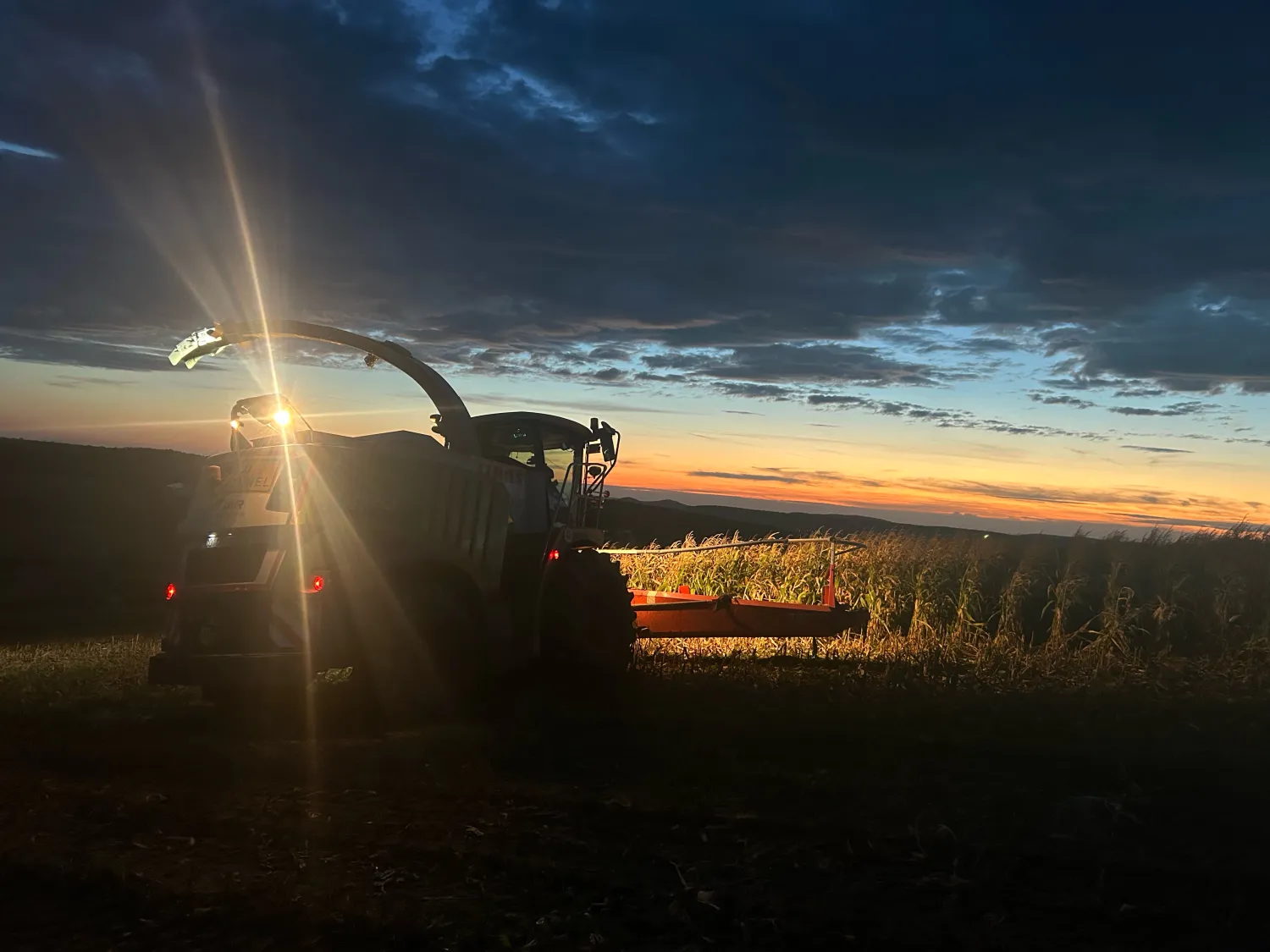 Landwirtschaftliche Dienstleistungen: Hackschnitzel, Gülle, Aussaat & mehr