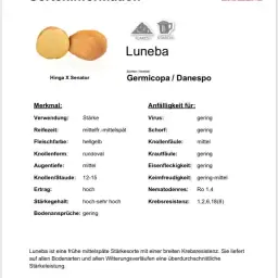 LUNEBA &amp; NAFIDA: Rassen met hoge opbrengst en resistentie