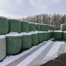 Kuilsvoer Ronde Balen Te Koop - Oogst 2025