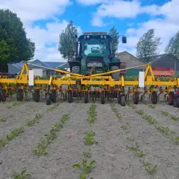 Schoffelmachine 12 rijen x 50 cm | Landbouwmachines