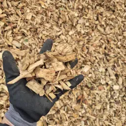 G50 Hackschnitzel kaufen: Eiche, Buche, Pappel