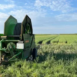 Deierling Beregening te Koop – 420m Slang, Topconditie