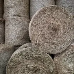 Heu Rundballen, 1. Schnitt 2025, Eifel/Westerwald