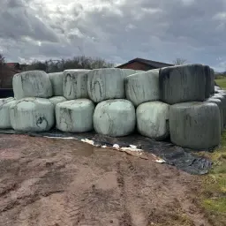 Балиран силаж 2-ра коситба 2023 г. за продажба