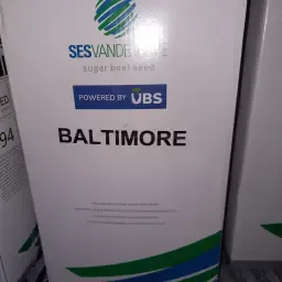 Bietenzaad Baltimore + Buteo Start 2026 te koop