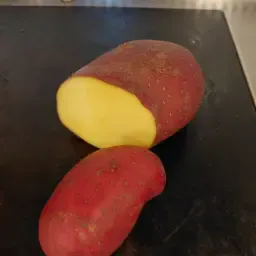 Aardappelen Baltic Rose & Bernina te koop | Topkwaliteit