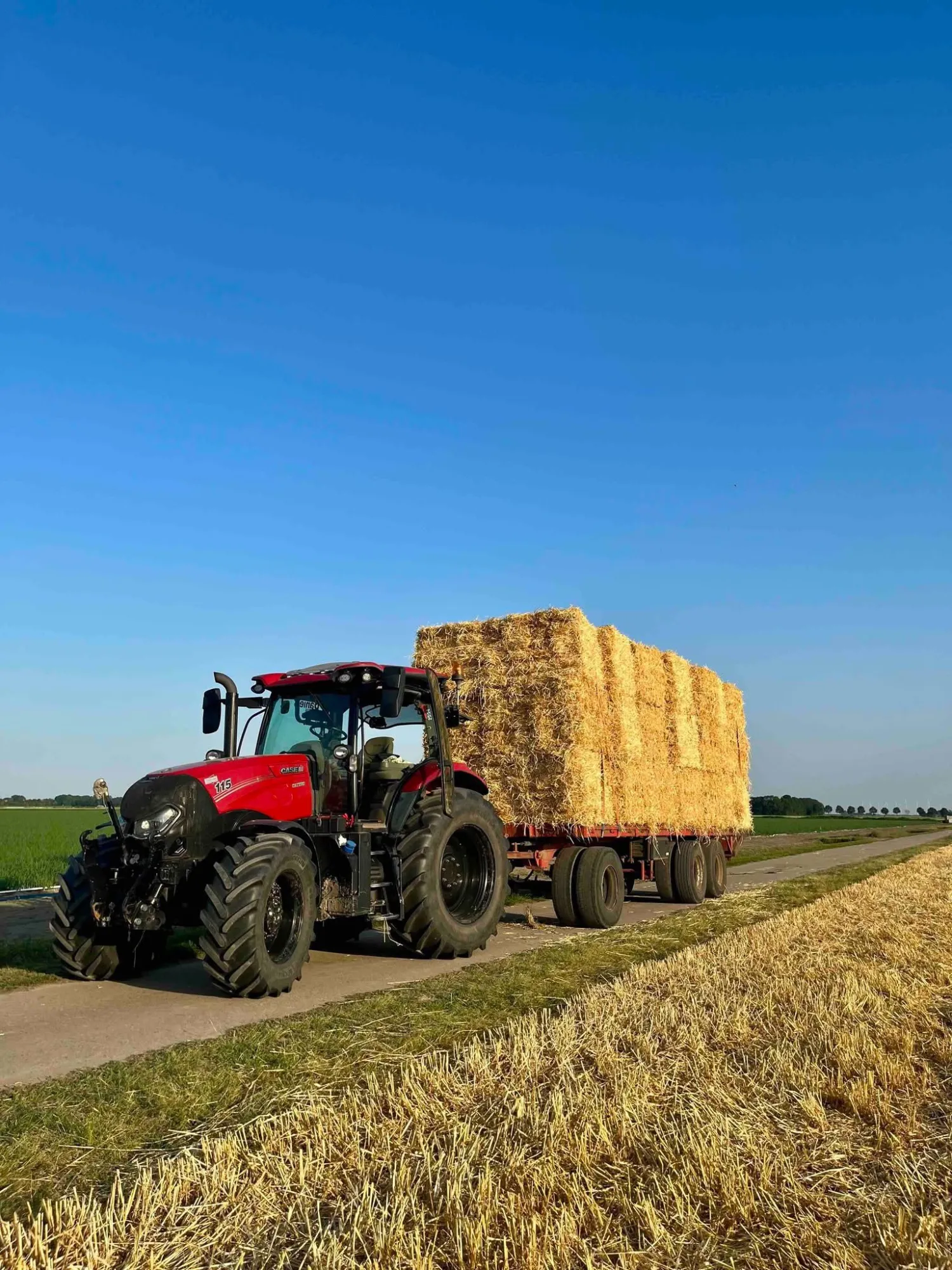 Tarwestro & gerst gezocht in Noordoostpolder