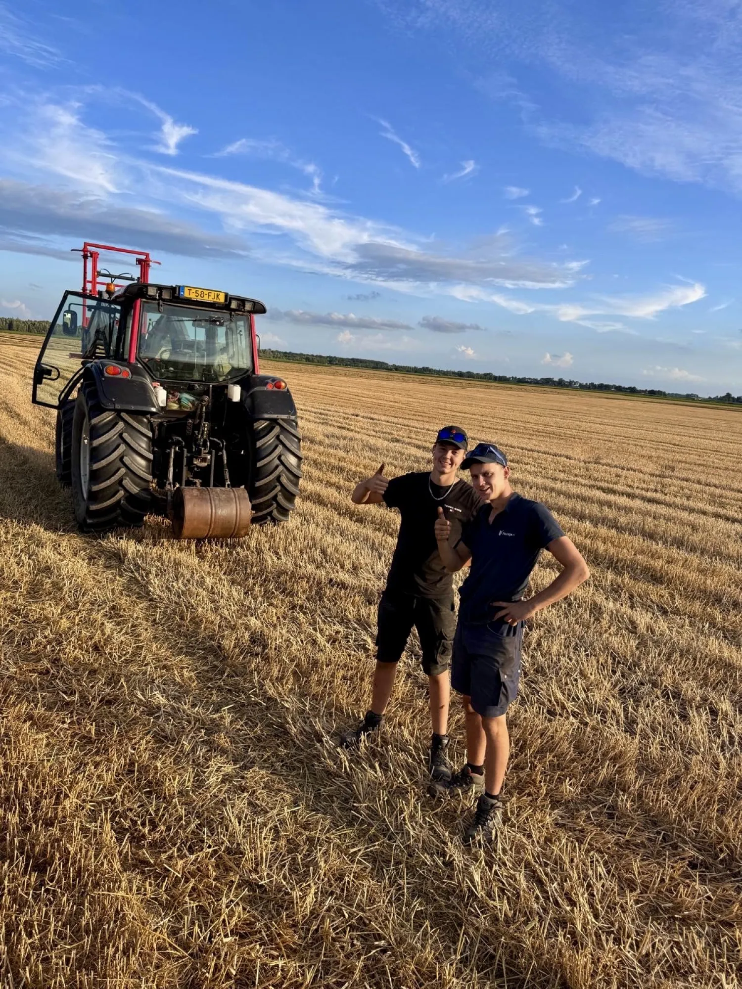 Tarwestro & gerst gezocht in Noordoostpolder