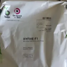 Hyfive Uienzaad te Koop - Hoge Kiemkracht