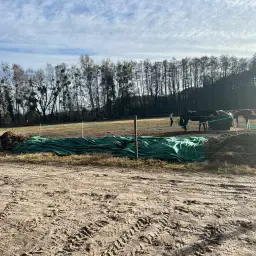 Paardenmest verwijdering nodig? Regio Potsdam