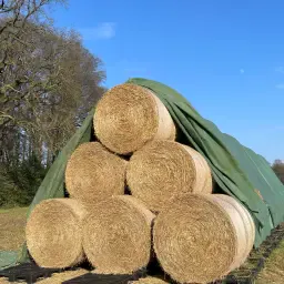 Ballots ronds de paille de blé à vendre