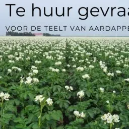 https://cdn.farmtrade.nl/media/196676/conversions/S7gjiE-thumbnail.webp