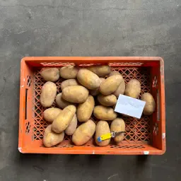 Acheter des pommes de terre Lilly & Queen Anne