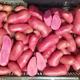 Rote Emmalie Aardappelen: Roodschillig, Rood Vruchtvlees