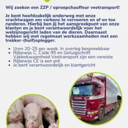 https://cdn.farmtrade.nl/media/197666/conversions/qwNfZ4-thumbnail.webp