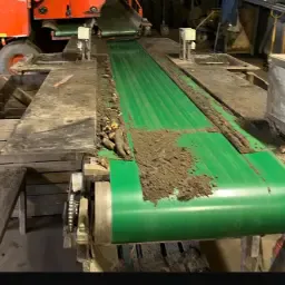 Przenośnik taśmowy 5,5 m - Idealny do obróbki roślin