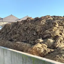 Geitenmest & Vaste Mest Kopen | Stro Geitenmest België