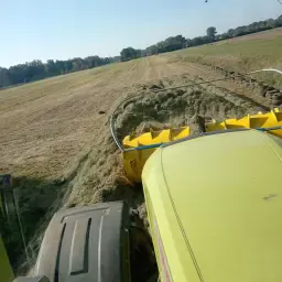 Kiszonka z trawy dla bydła na sprzedaż | Duże ilości