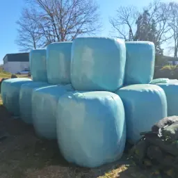 Балиран силаж: Топ качество, 3-ти откос 2025