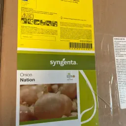 Насіння цибулі сорт Nation – 10 EH, свіже та висока якість