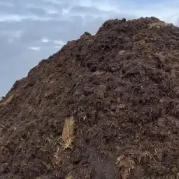 Vaste rundvee- en geitenmest beschikbaar