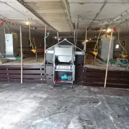 Mestput stalinrichting voor leghennen (3500 dieren)