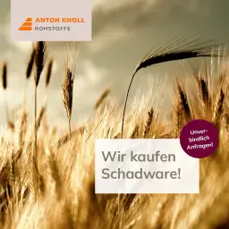 Αγοράζουμε κατεστραμμένα προϊόντα: Δημητριακά, τεύτλα, πατάτες, σπόροι