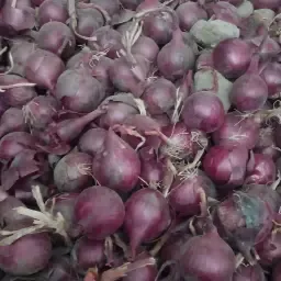 Røde stikløg Redtide 40/60 - 50 tons tilgængelig