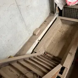 Stół/Taśma sortownicza Schouten na sprzedaż | Sprzęt rolniczy