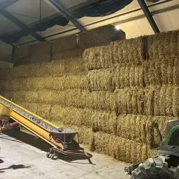 Paie de grâu de vânzare - Recolta '25 - Baloți mari