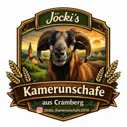 JoeckisKamerunschafe