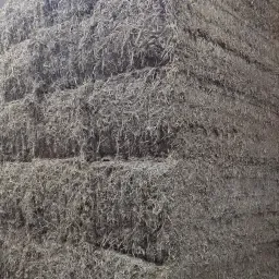 Paille de pois à vendre - Sèche et emballée - Stollenga