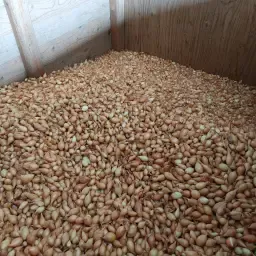 Halve kist Jetset: Ongeveer 500 kg