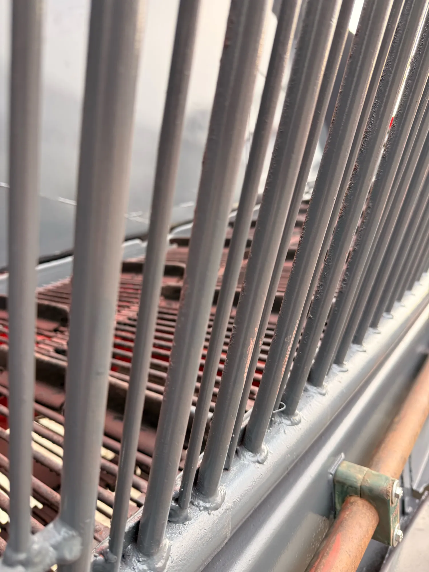 Holmer RRL200 aardappelloader te koop