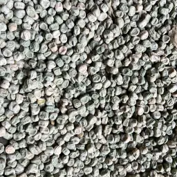 Περίπου 370 τόνοι μπιζέλια μαραθιάς, συγκομιδή 25 προς πώληση