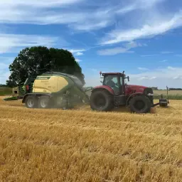 Gerste stro te koop - Grote balen beschikbaar